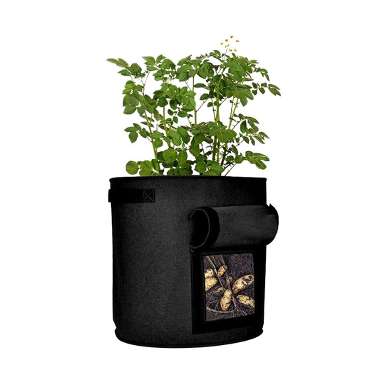 Garden Planting Bags,2PCS 10 Gallon Vegetable Bag, Non-woven Fabric Window Potato Planting Bag (2,Black)