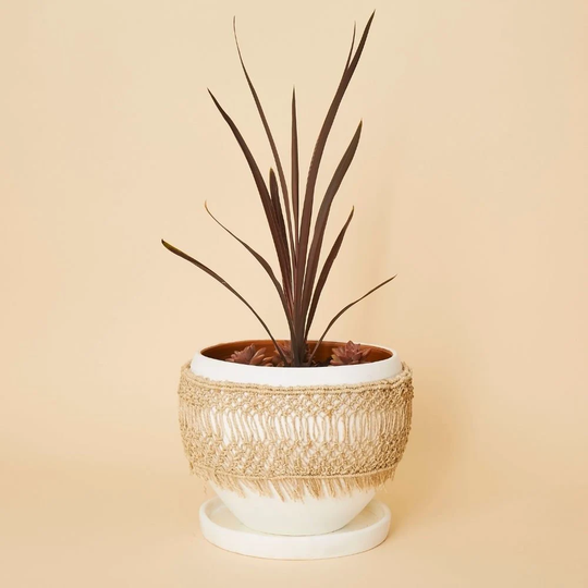 Bangladesh Large Macrame Wrap Terracotta Pot
