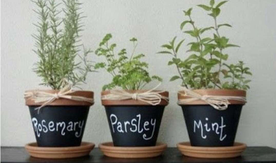 Beautiful Hand Painted Spices Terracotta Pots With Names For Indoors & Outdoors Drainage Hole At The Bottom