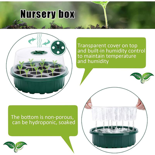 3pcs Mini Greenhouse Nursery, Nursery Tray, Clear Plastic Nursery Tray, 13 Hole Indoor Greenhouse Nursery Box Breeder Garden, Planting Tray