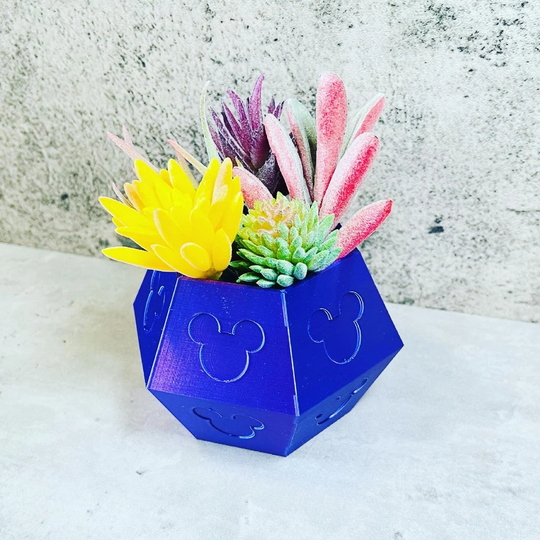 Mouse Geometric Succulent Holder