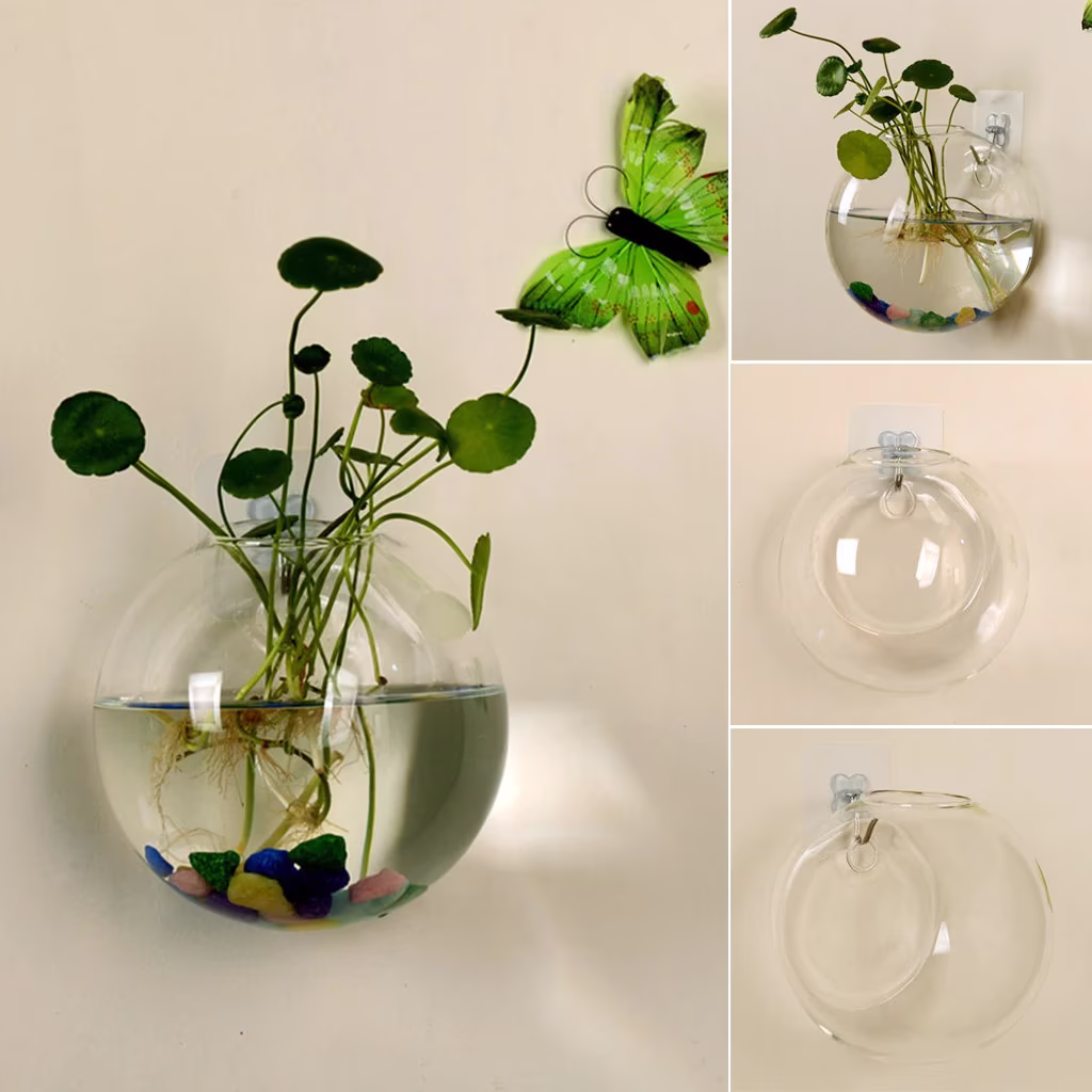 Bubble Vase | Wall Planter Hydroponic Terrarium Flower