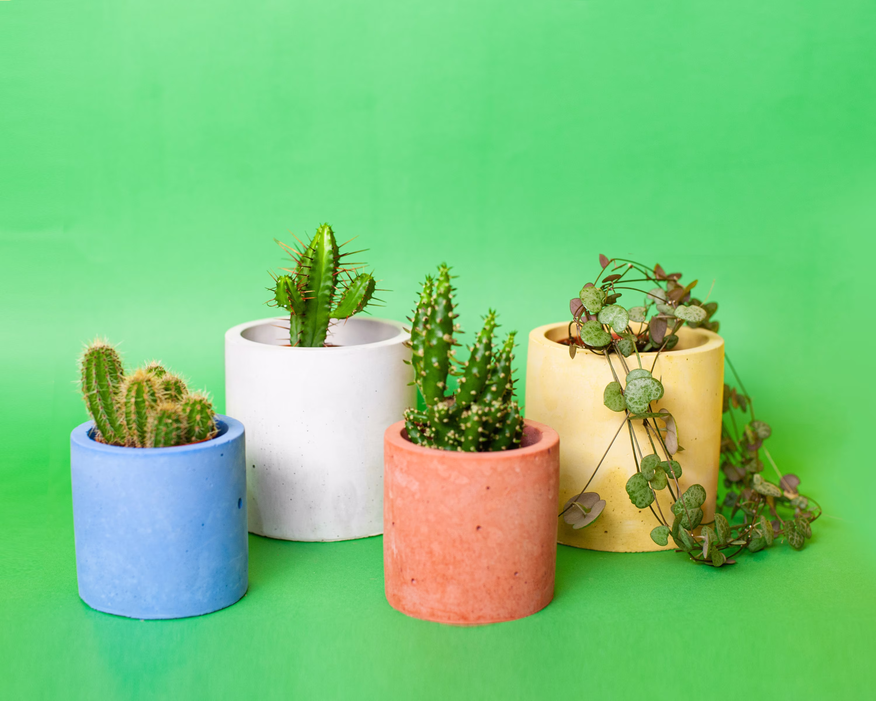 Concrete Flower Pot - Cylinder Concrete Plant Accessories