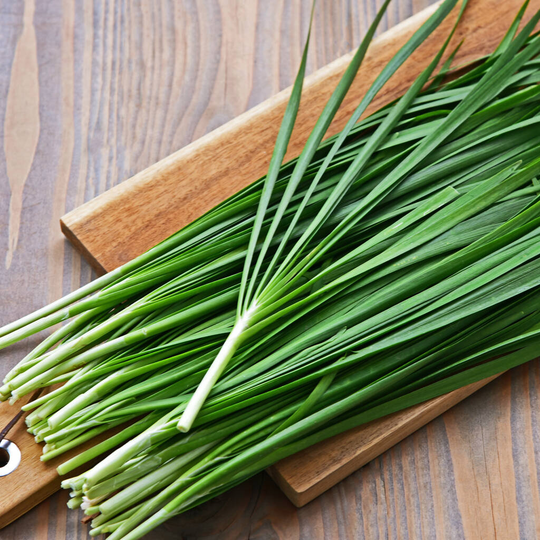 Herb Plants Garlic Chives In 9cm Pots