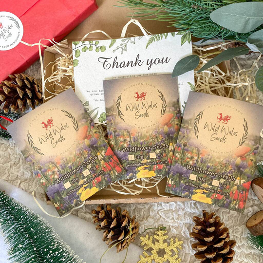 Welsh 'Superbloom' Wildflower Seed Christmas Gift Box
