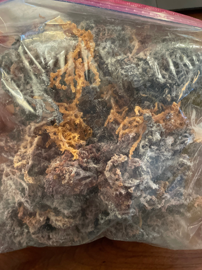 Purple Seamoss 1 lb