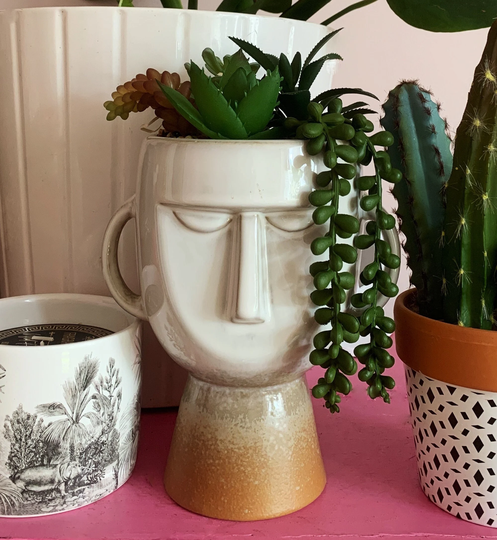 19cm Succulent Planter Pagan Man Design Ceramic Fake Plants Windowsill Table