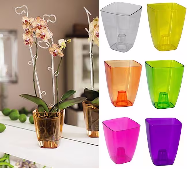 Plant Orchid Pot Plastic 8 Colours Gloss Oval Planter Transparent Clear 12 cm