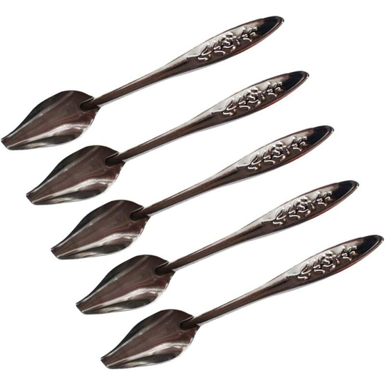5pcs Parrot Bird Feeding Spoons Stainless Steel Feeding Spoons Medicine Spoons Feeding Accessories for Peony Parrot Cockatiel