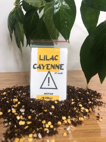 Lilac Cayenne Seeds