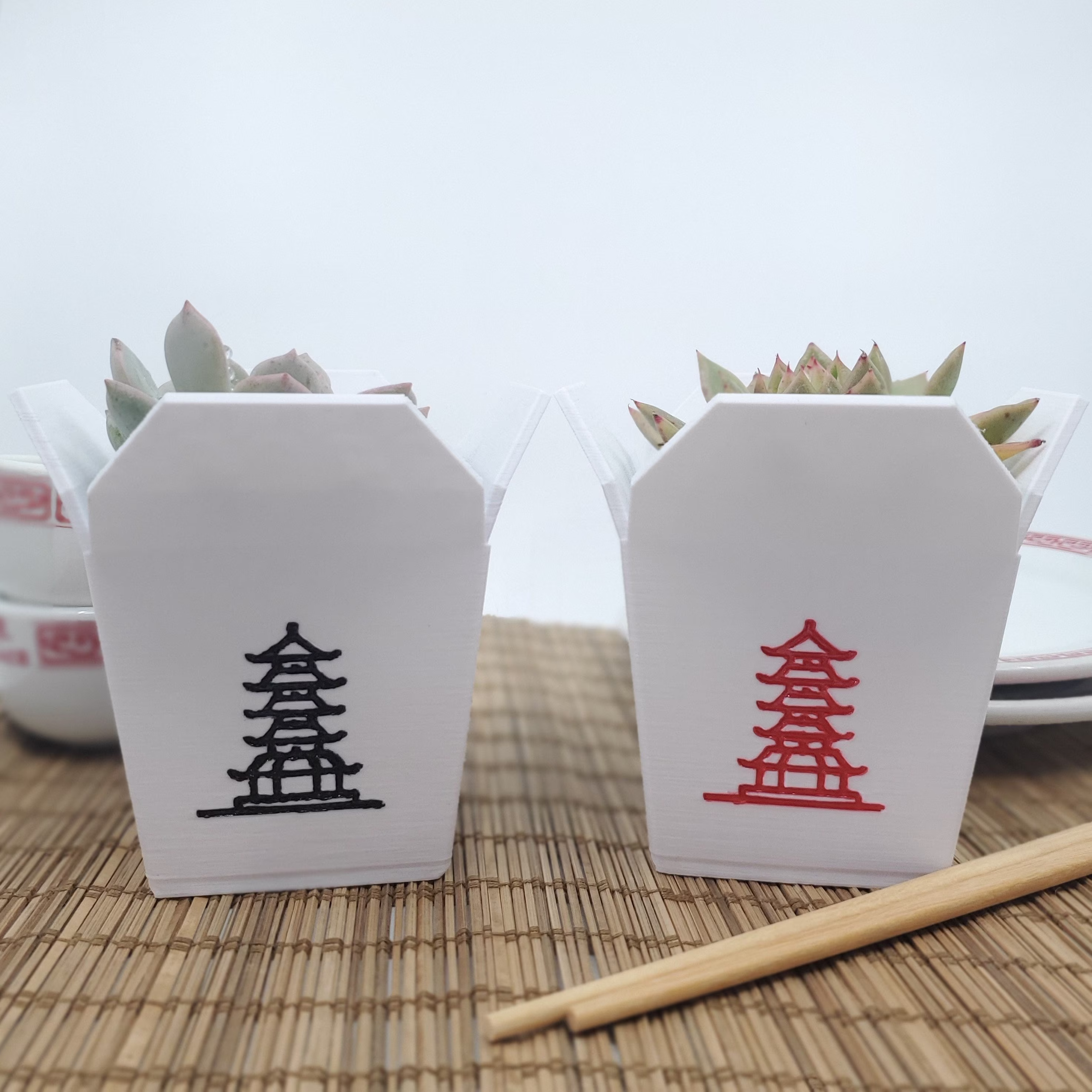 Large Chinese Takeout Planter, Hand Painted Indoor Succulent Pot, Garlic Keeper