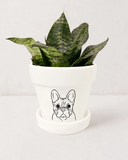 French Bulldog Planter, Frenchie Decor, Dog Lover Gifts, Indoor Succulent Pot with Saucer | Plants Not Included | White