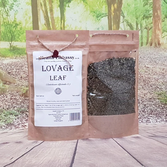 Lovage Leaf/Levisticum Officinale L Herbal Tea Health Embassy