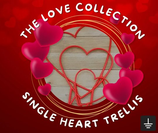 Heart Plant Trellis | For Hoya/Pothos Rare Plants Indoor Plants Gift For Valentines Day