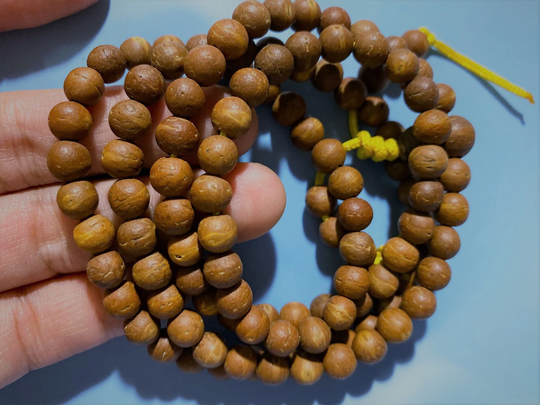 Full Strand Natural Rudraksha Bodhi Seed Beadsmini 6-7 Mm, Mala Beads, Iprayer Beads, Pipal Tree Beads, Buddhism Beads, Diy Accessories