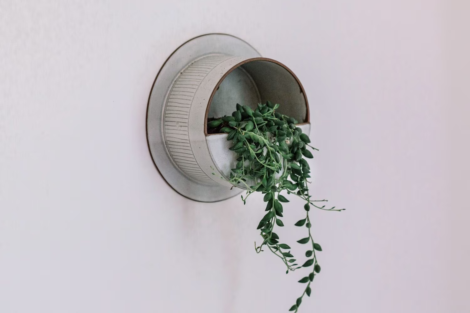 White Ceramic Wall Planter For Succulents, Hanging Vertical Planters, Indoor Planter, Striped Textured Outdoor Cacti Pot