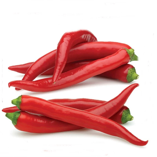 Chili Pepper Mombasa Seeds Heirloom Non Gmo For Planting | 204621