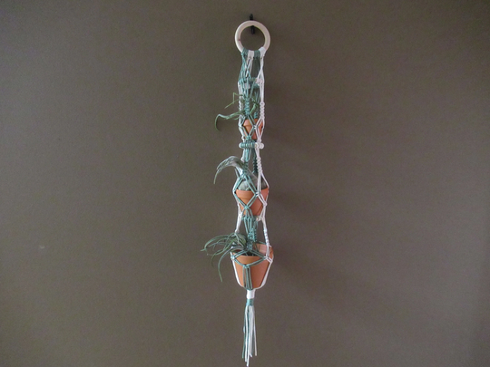 Air Plant Or Succulent Macrame Holder/Hanger - Tillandsia