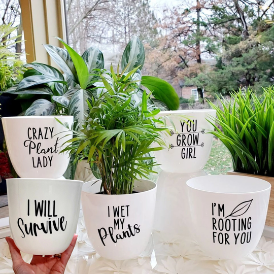 Funny Planters - Flower | Plant Succulent Pots