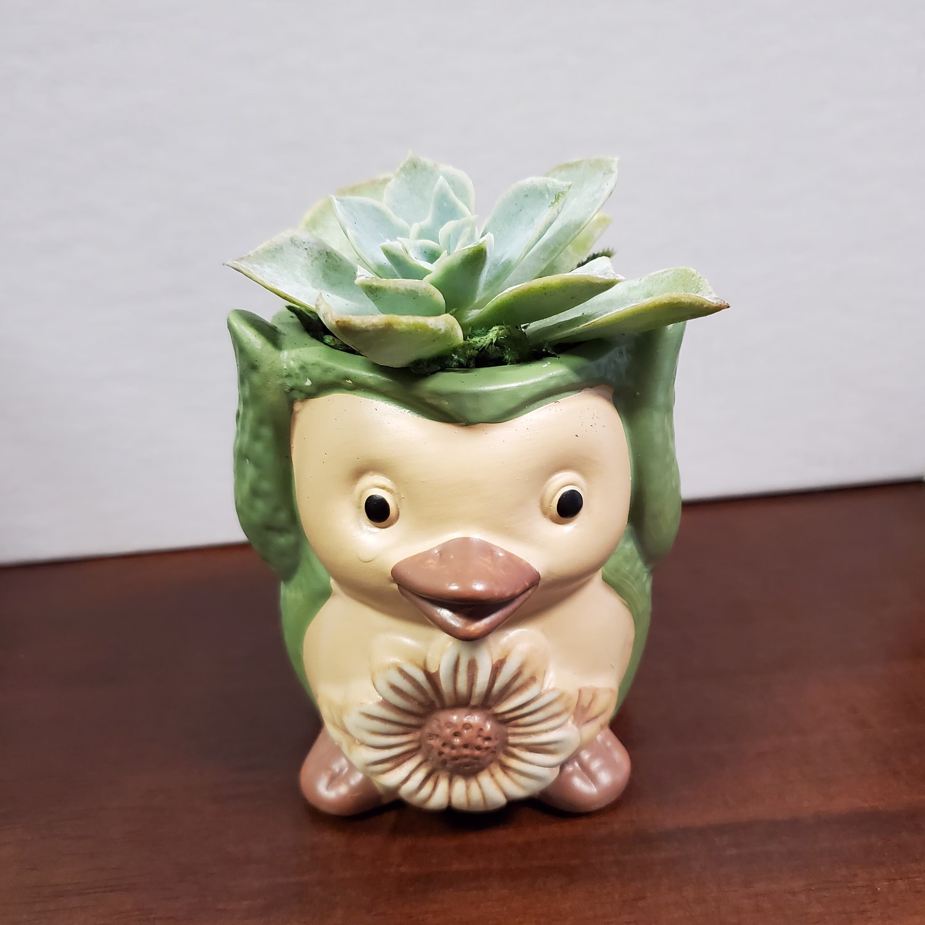 Happy Penguin Planter With Succulent, Pot Succulents, Succulent Pot, Echeveria, Animal Planter, Figurine
