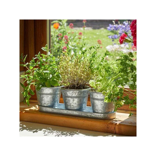 Garden Mile - 3x Galvanised Herb Plant Pots with Drip Tray for Home Kitchen Planters Traditional Indoor Window Sill, Planter Box Grow Your Own Herbs