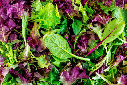 Mesclun Gourmet Greens Seed Mix 100+ Ships Free