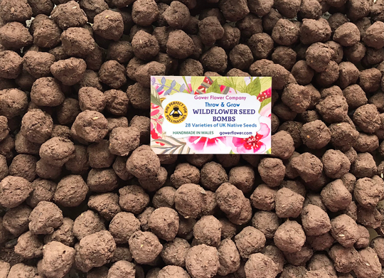 80 Wildflower Seed Bombs