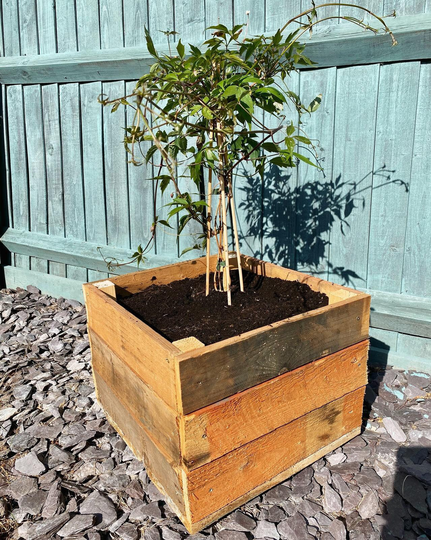 Wooden Garden Planter, Veg Box, Herb Flower Patio Planter