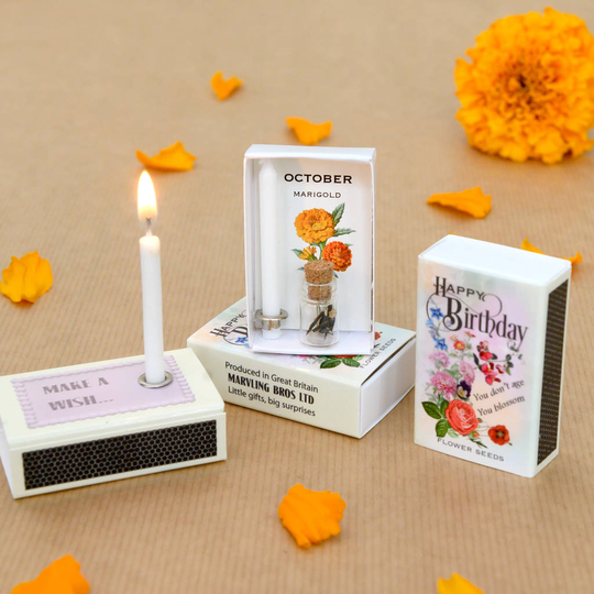 October Birth Flower Seeds And Birthday Candle Gift