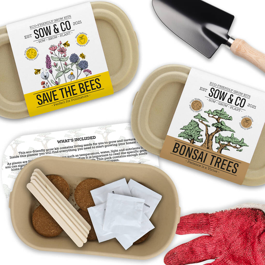 Sow And Co Grow Kits Chilli, Bonsai, Herbs Or Cactus