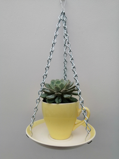 Lovely Ceramic Indoor/Outdoor Teacup Hanging Basket/Planter in Yellow. Made From Vintage Bilton's Teacup & Saucer. Gift