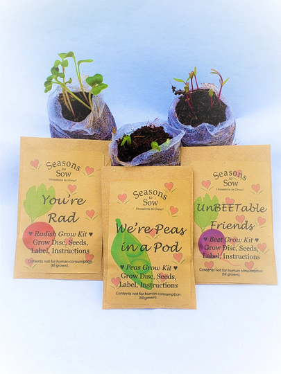 Valentine Card Grow Kits, Great For Kids Classroom, Garden Education, Coworker Treats, Party Favors, Memorable Gifts, Fun Craft