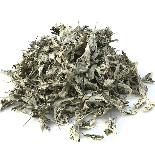 Dried Mugwort Natural Locally Grown in Canada