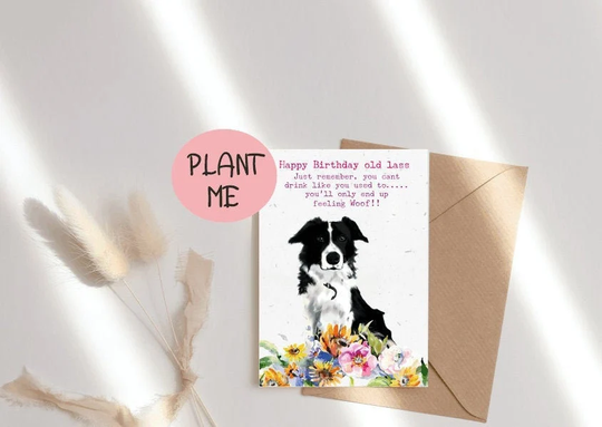 Plantable Funny Birthday Seed Cards-Eco Friendly-Wildflower Cards -Seed Paper Cards-Plantable Cards-Funny Card For Her-Card Him-Sheepdog