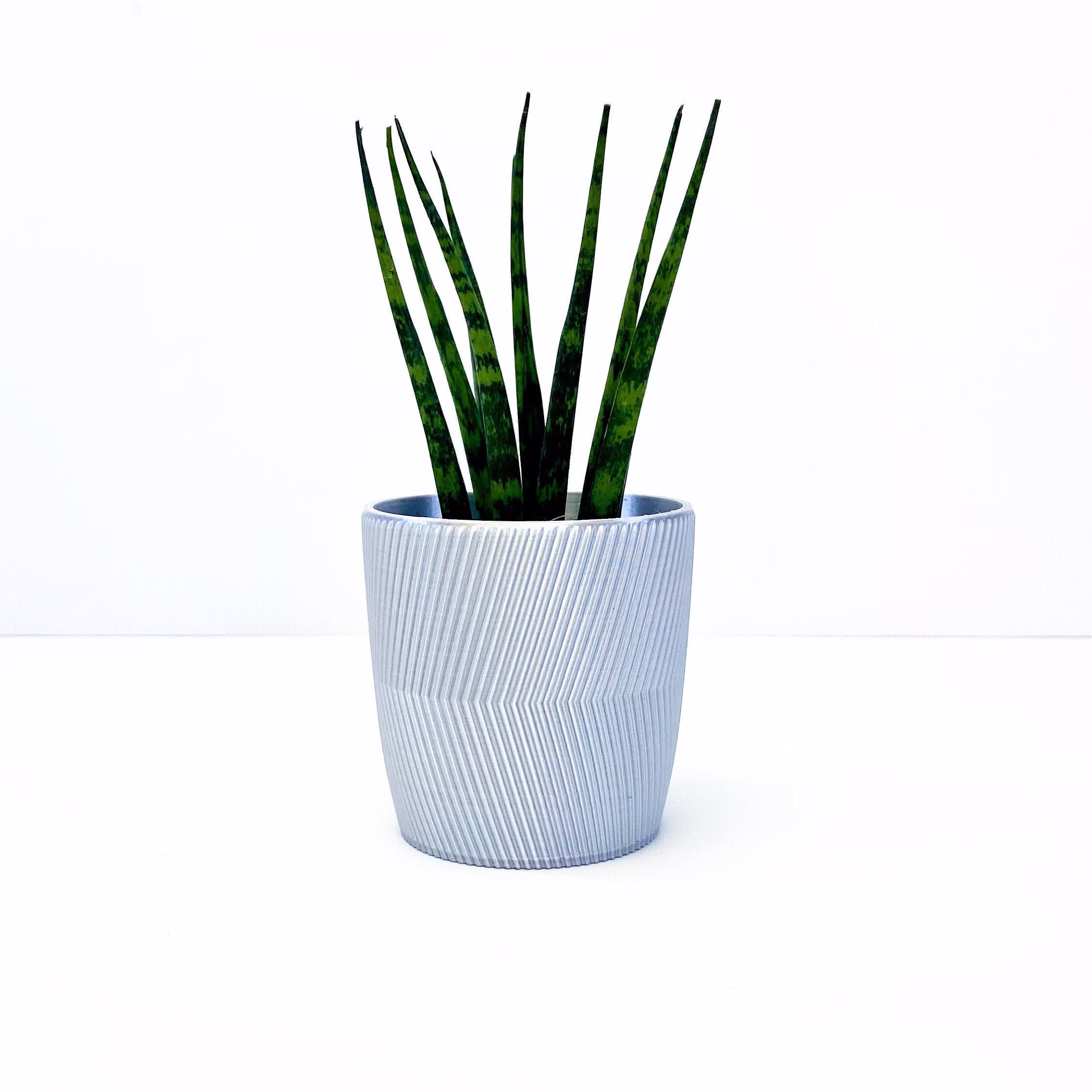 Minimalist Line Pot - Plant Planter Modern Decor Succulent Orchid Airplant Potted