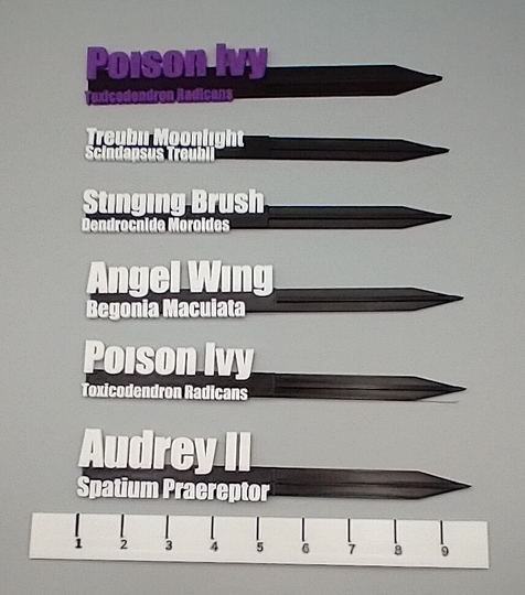 Plant Name Stakes - Two Line