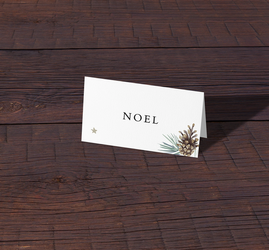 Tis The Season Place Card, Christmas Cards, Xmas Names, Winter Wedding Cards Wedding, December Settings, Snow, Ice