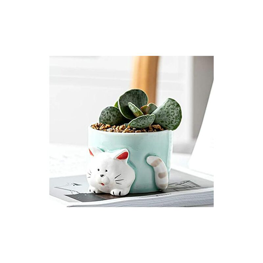 Mini Ceramic Flower Pots with Cute Animal Pattern - For Home, Office, Decorating Family, Friends, Coworkers.Katze , Blue