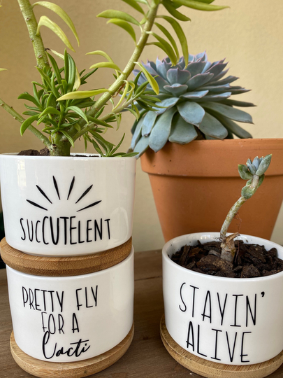 Succulent Pot - Planters Funny Plant Plant Gift Co-Worker Gift Teacher Housewarming Client