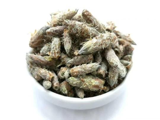 Best Quality Pine Buds Dried Bio Organic 50G 1.76 Oz