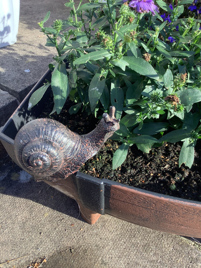 Pot Hanger Garden Plant Pot Hugger Decoration Bronze Effect Snail Gift