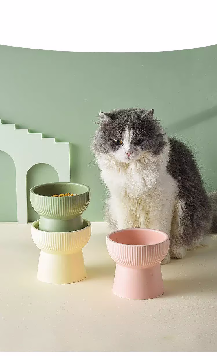 New Season Ceramic Cat Bowls. Elevated Pet Raised & Tilted Bowl