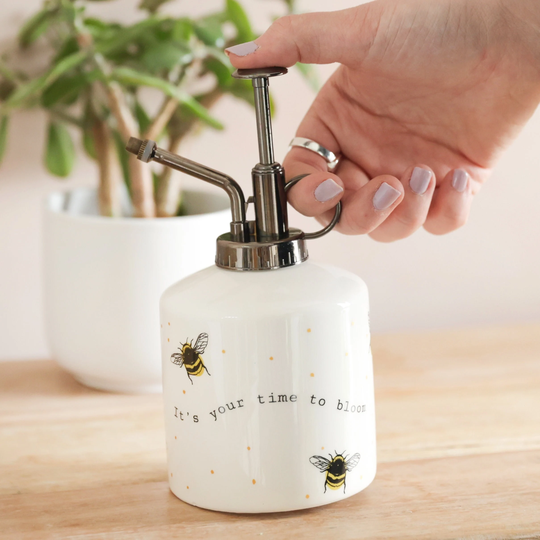 Time To Bloom Bee Plant Mister House Plants Low Maintenance Gardening