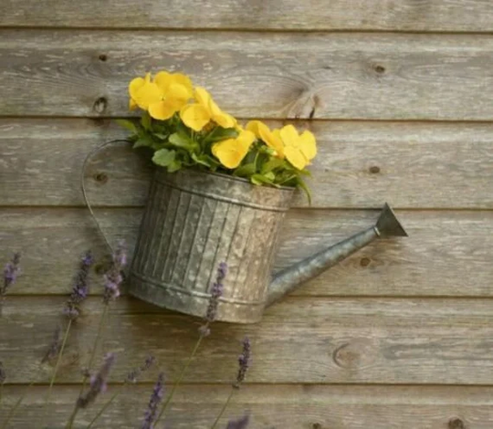 Metal Watering Can Planter Patio Garden Wall Fence Flower Plant Pot Novelty Gift