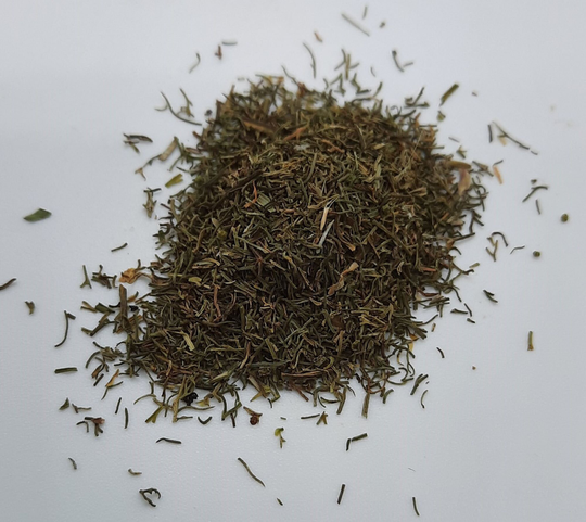Organic Dill | Anethum Graveolens