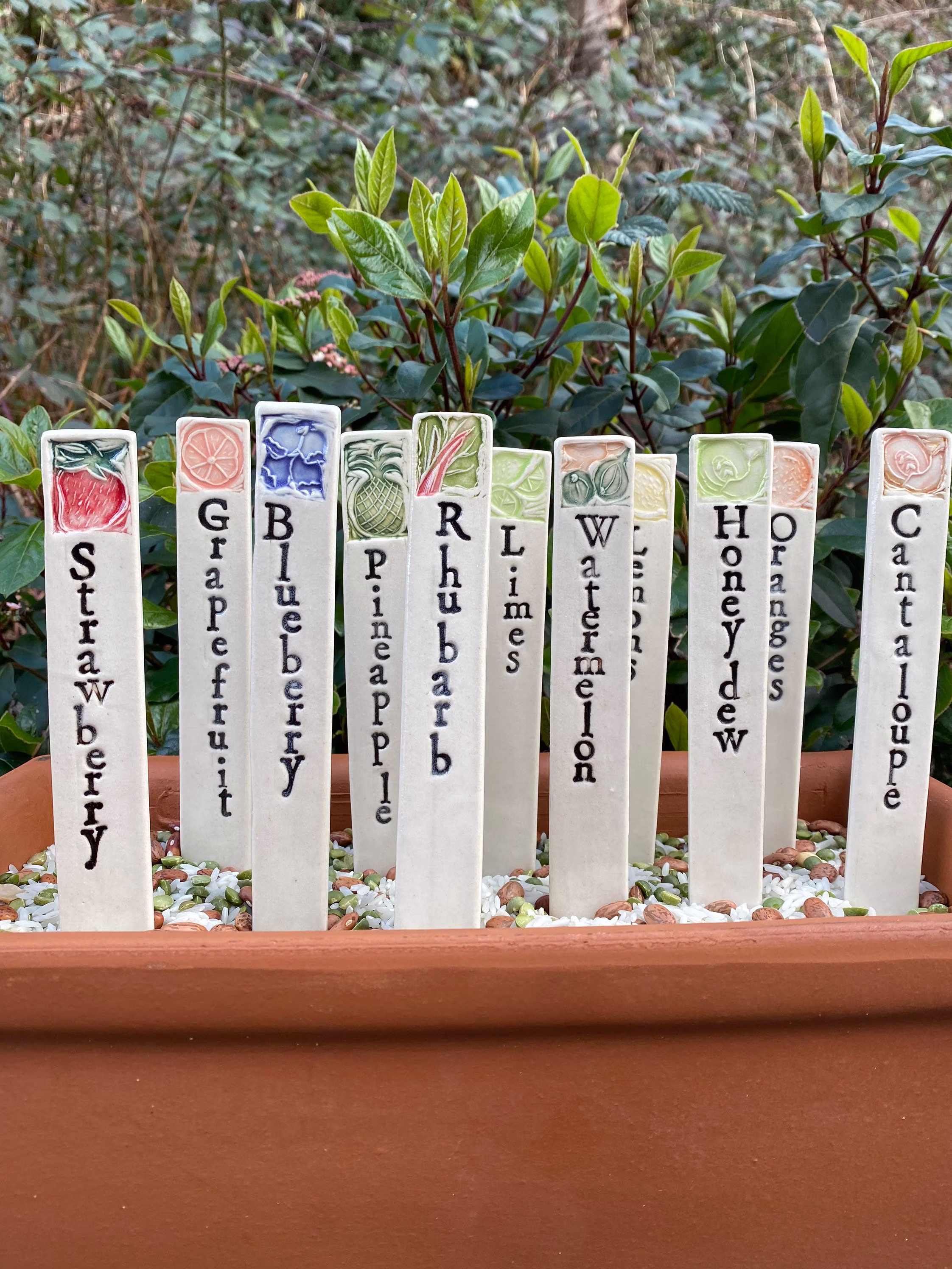 Set Of 3 Garden Markers, Fruit & Citrus Choices, Plant Stakes