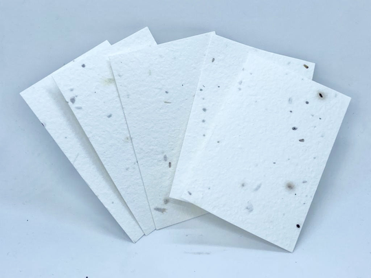 Blank Wild Flower Seeded Business Cards - Created From Handmade Seed Card, Made in The UK