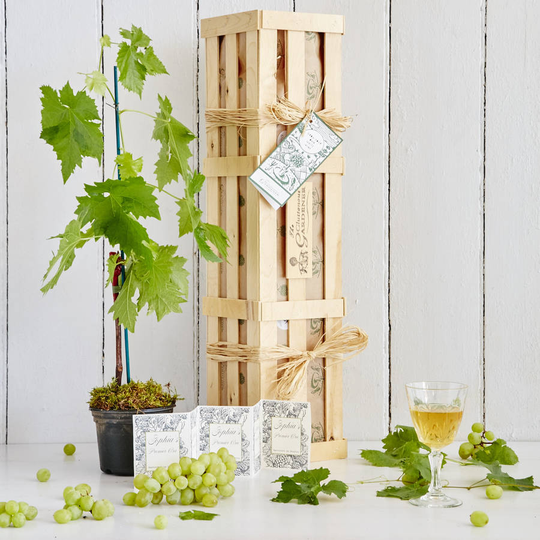 Grow Your Own White Wine Gift Crate