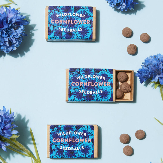 Wildflower Cornflower Seed Boxes