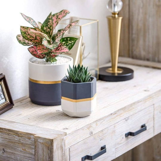 Pack Of Two Indoor Ceramic Herbs Flower Planter